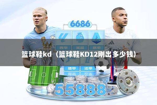 篮球鞋kd（篮球鞋KD12刚出多少钱）
