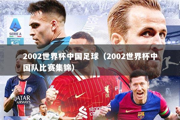 2002世界杯中国足球（2002世界杯中国队比赛集锦）